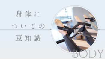 肩甲骨ってどんな働きをするの？